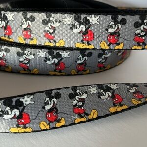 Red Dog Harness with Mickey Mouse Leash